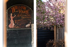 Staand-12 copy 2.jpg